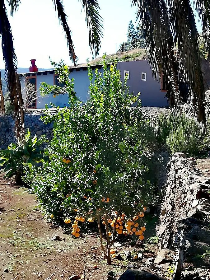 El CedroCasa La Montana别墅